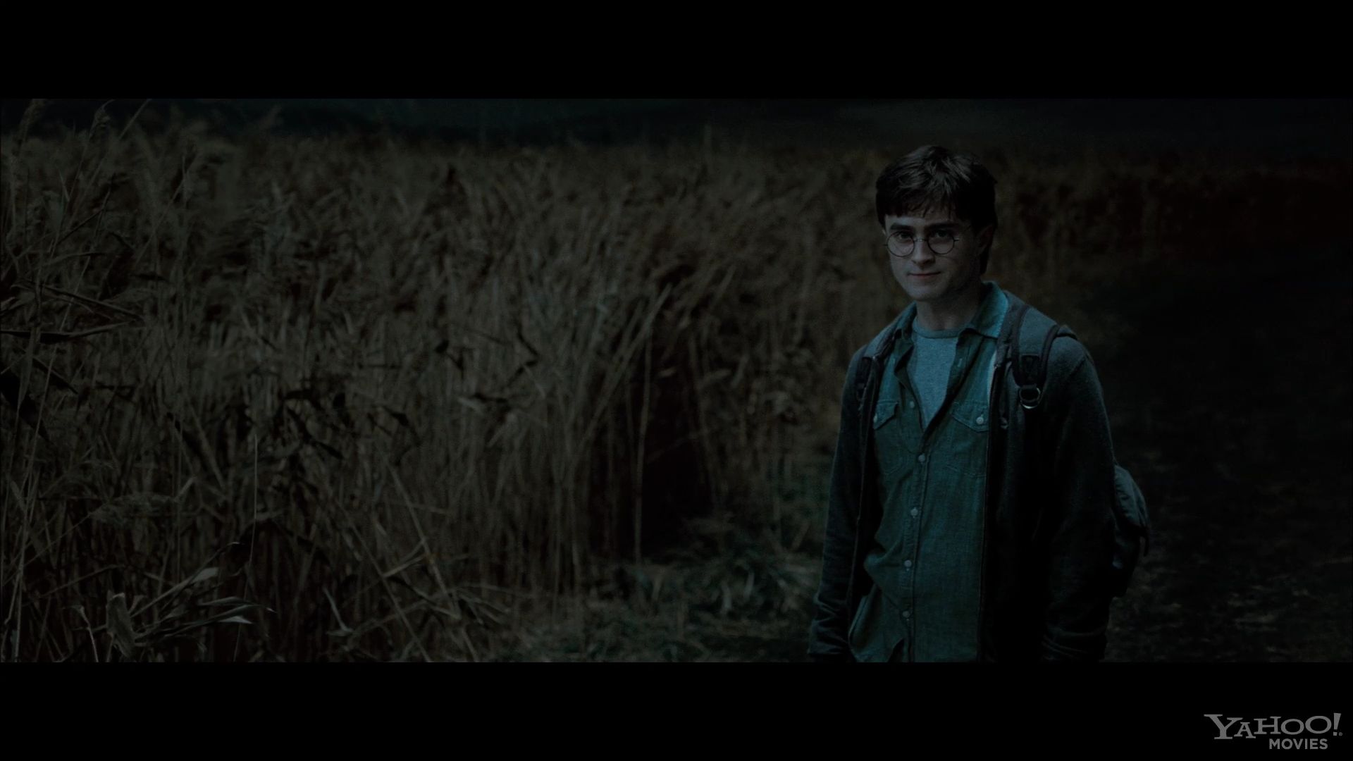 HP7EpicFinale0236.jpg