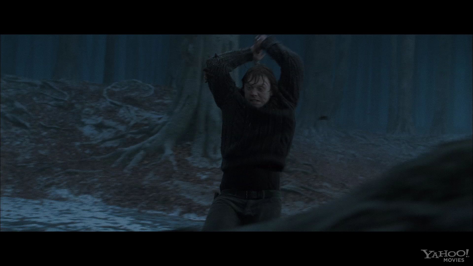 HP7EpicFinale0294.jpg