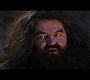 HP7EpicFinale0008.jpg