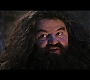 HP7EpicFinale0009.jpg
