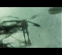 HP7EpicFinale0059.jpg