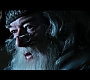 HP7EpicFinale0064.jpg
