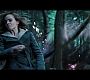 HP7EpicFinale0245.jpg
