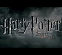 HP7EpicFinale0313.jpg