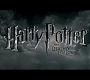 HP7EpicFinale0314.jpg