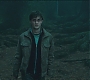 HP7-00062.jpg