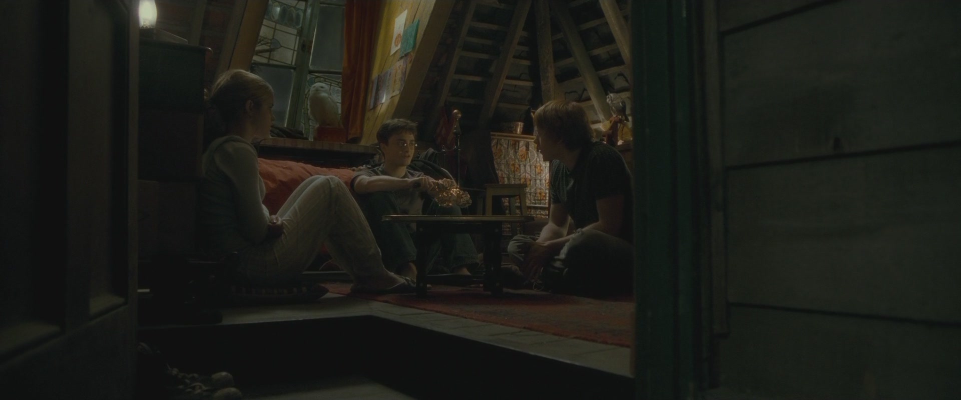 Halfblood-00406.jpg