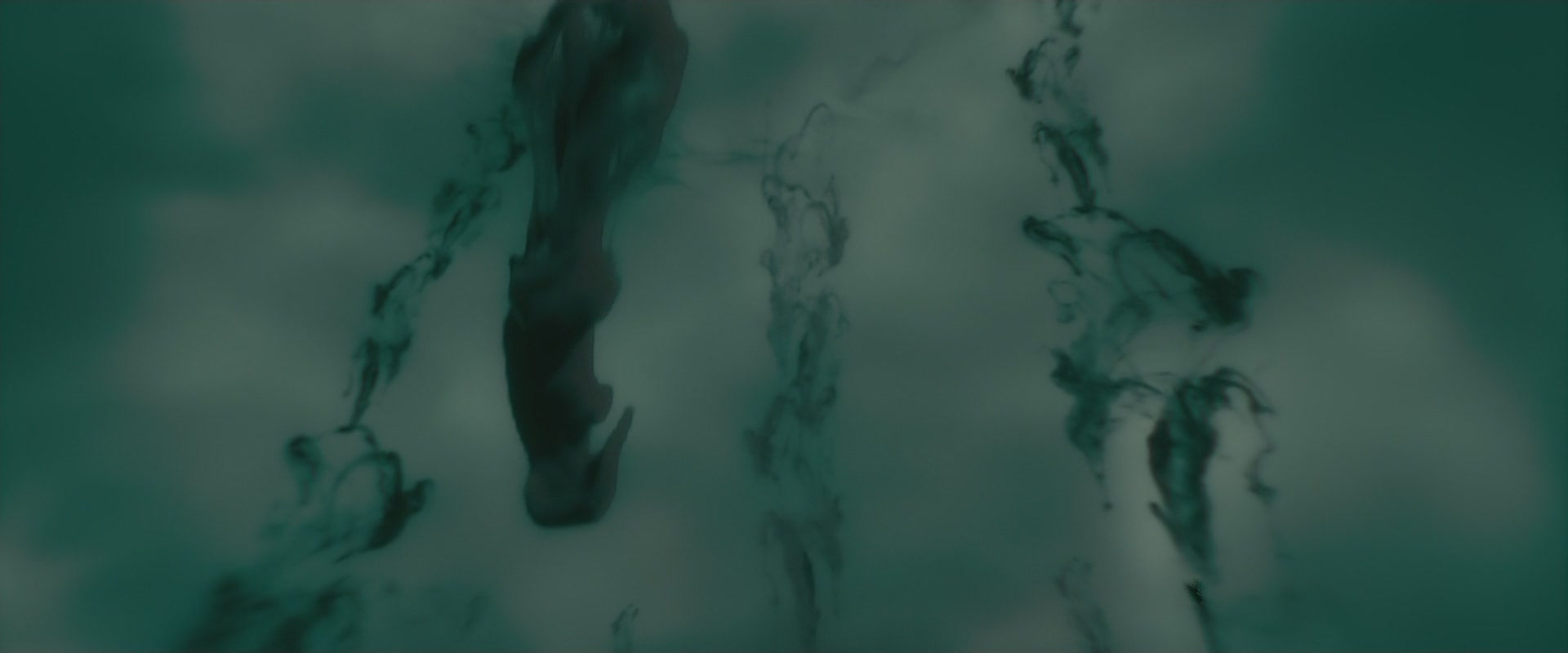 Halfblood-01163.jpg