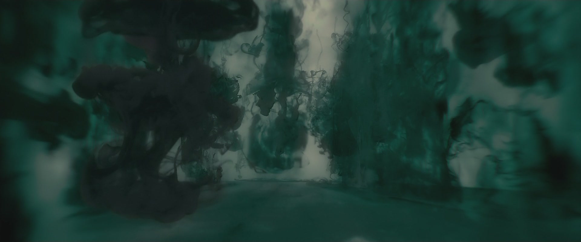 Halfblood-01164.jpg