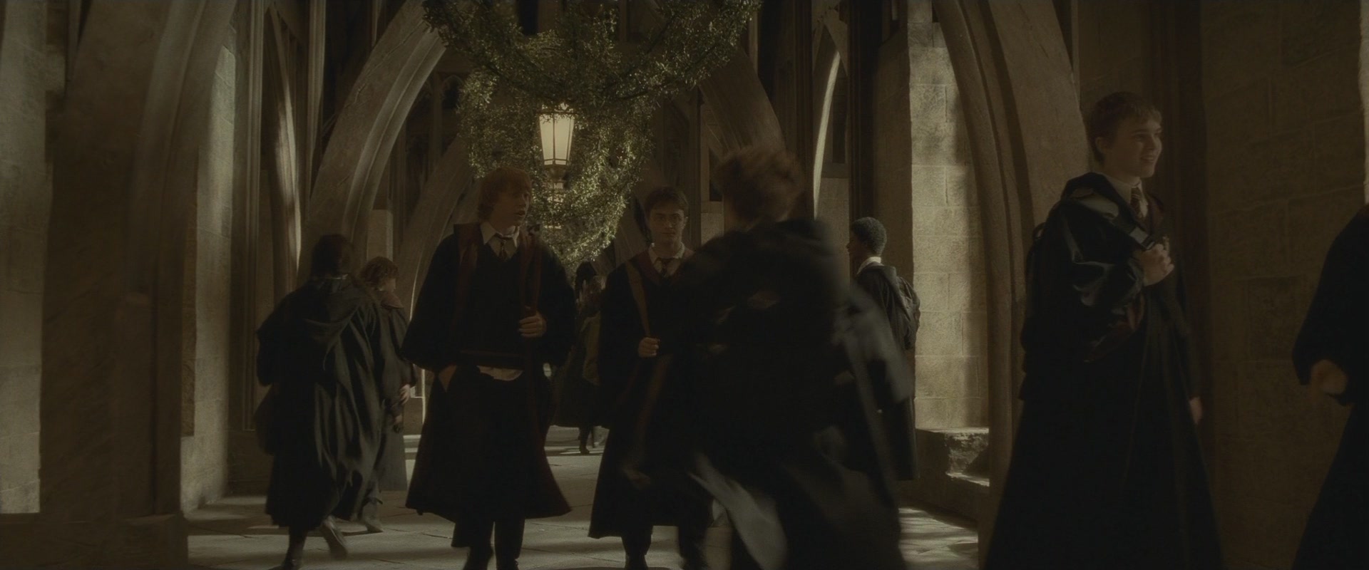 Halfblood-01958.jpg