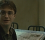 Halfblood-00102.jpg