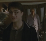 Halfblood-00239.jpg