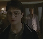 Halfblood-00240.jpg