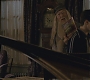 Halfblood-00301.jpg
