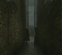 Halfblood-00440.jpg