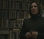 Halfblood-00467.jpg