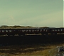 Halfblood-00710.jpg