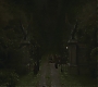Halfblood-00804.jpg