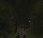 Halfblood-00805.jpg