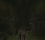 Halfblood-00806.jpg