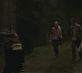 Halfblood-00809.jpg
