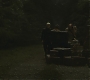 Halfblood-00817.jpg