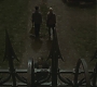 Halfblood-00823.jpg