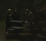Halfblood-00828.jpg