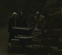 Halfblood-00829.jpg