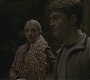 Halfblood-00832.jpg