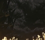 Halfblood-00853.jpg