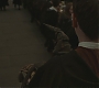 Halfblood-00863.jpg
