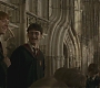 Halfblood-00943.jpg