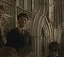 Halfblood-00944.jpg