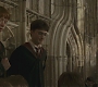 Halfblood-00945.jpg