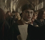 Halfblood-00948.jpg