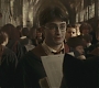 Halfblood-00949.jpg