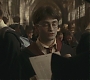 Halfblood-00953.jpg