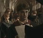 Halfblood-00955.jpg