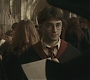 Halfblood-00960.jpg