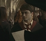 Halfblood-00961.jpg