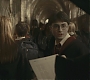 Halfblood-00963.jpg
