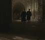 Halfblood-00967.jpg