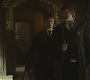Halfblood-00977.jpg