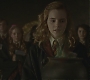 Halfblood-01002.jpg