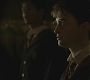 Halfblood-01030.jpg