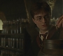 Halfblood-01066.jpg