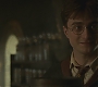 Halfblood-01094.jpg
