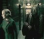 Halfblood-01175.jpg
