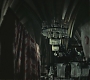 Halfblood-01304.jpg